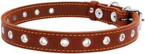 Нашийник безрозмірний для собак Collar, коричневий