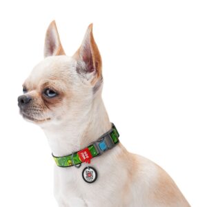 Нашийник WAUDOG Nylon з QR паспортом, з малюнком 