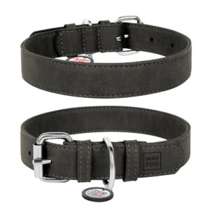 Нашийник зі штучної шкіри Collar WAUDOG Eco з QR паспортом, сірий