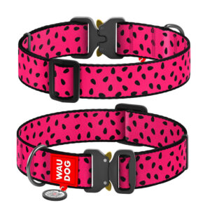 Нашийник нейлоновий Collar WAUDOG Nylon з QR паспортом, малюнок 