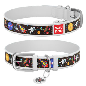 Нашийник WAUDOG Design з малюнком 