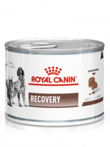 Вологий корм для котів та собак в реабілітаційний період Royal Canin Recovery
