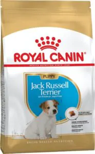 Сухий корм для цуценят джек-рассел-тер'єра Royal Canin Jack Russell Terrier Puppy Junior до 10 місяців