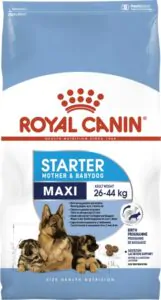 Сухий корм для собак великих порід Royal Canin Maxi Starter у період вагітності та лактації, цуценят до 2 місяців