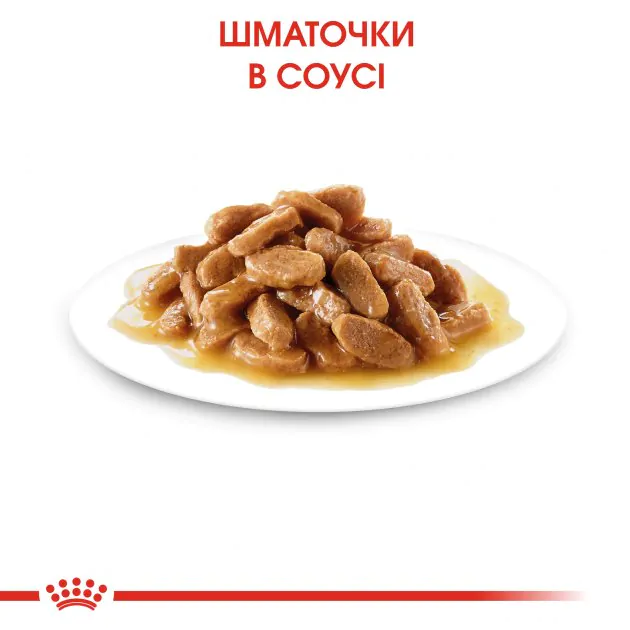 Вологий корм для цуценят дрібних порід Royal Canin Mini Puppy до 10 міс