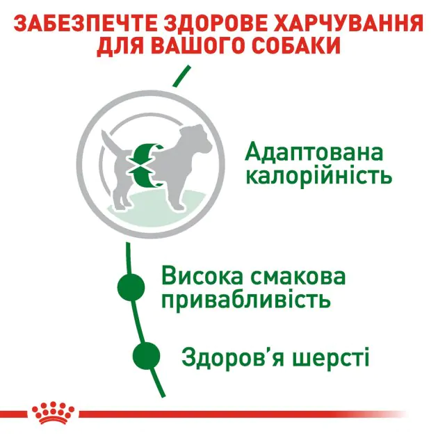 Сухий корм для собак дрібних порід Royal Canin Mini Adult
