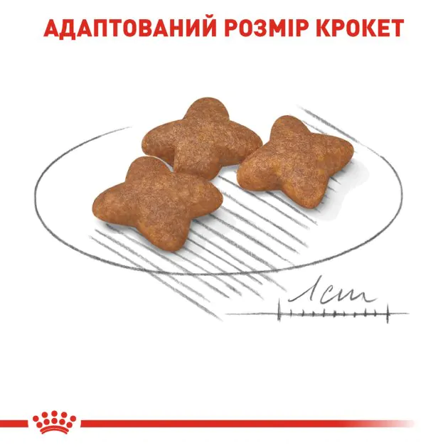 Сухий корм для собак дрібних порід Royal Canin Mini Adult