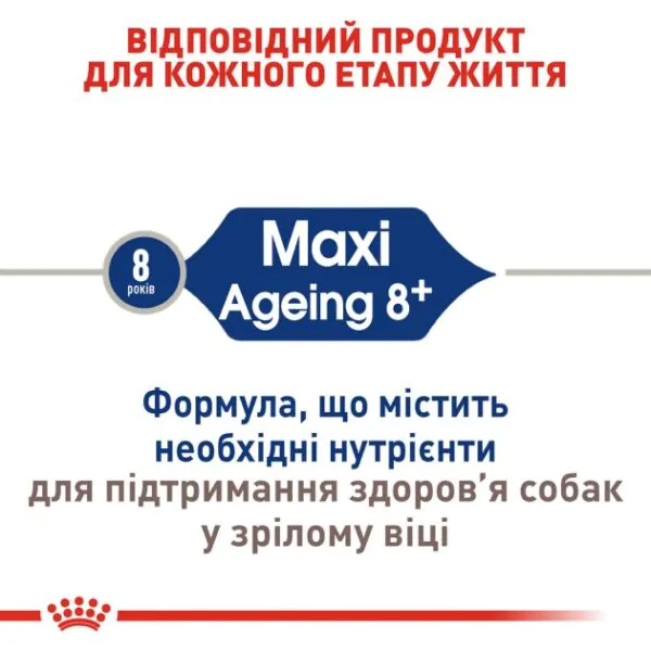 Сухий корм для собак великих порід Royal Canin Maxi Ageing 8+ від 8 років