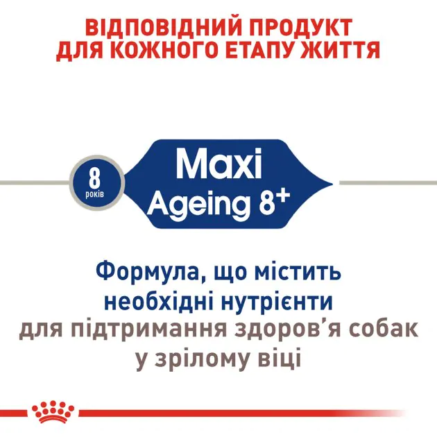 Сухий корм для собак великих порід Royal Canin Maxi Ageing 8+ від 8 років