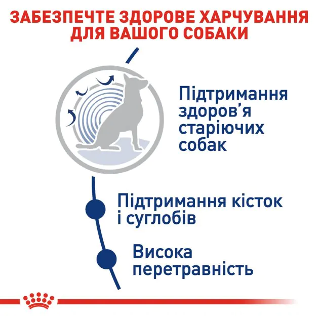Сухий корм для собак великих порід Royal Canin Maxi Ageing 8+ від 8 років