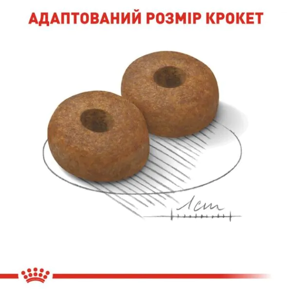 Сухий корм для собак великих порід Royal Canin Maxi Ageing 8+ від 8 років