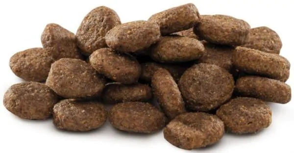 Brit Premium Dog Junior L - сухий корм для цуценят та юніорів великих порід з куркою