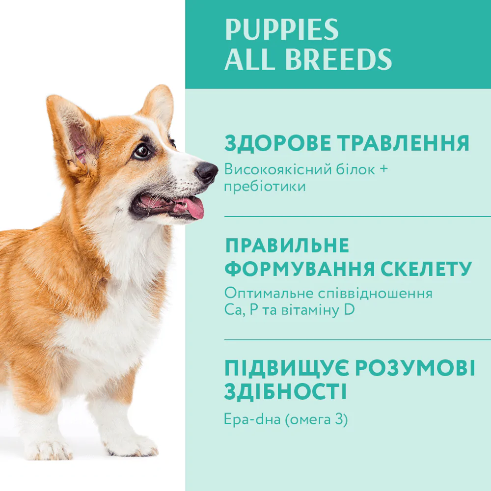 Optimeal Puppies All Breeds - сухий корм для цуценят зі смаком індички