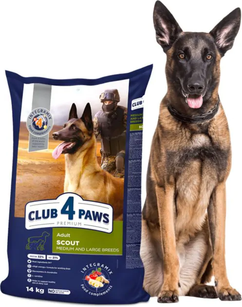 Сухий корм для дорослих робочих собак Club 4 Paws (Клуб 4 Лапи) Преміум Скаут для середніх і великих порід