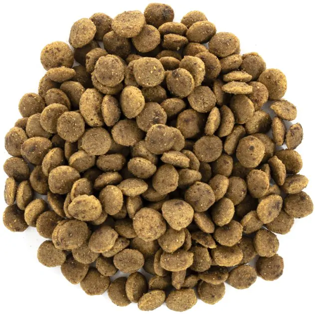 Brit Care Cat GF Large cats Power & Vitality - корм для котів великих порід з качкою і куркою