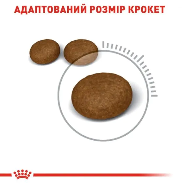 Сухий корм для котів Royal Canin Hair & Skin
