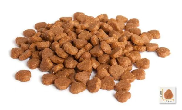 BonaCibo Cat Adult Lamb & Rice - корм для котів ягня з рисом