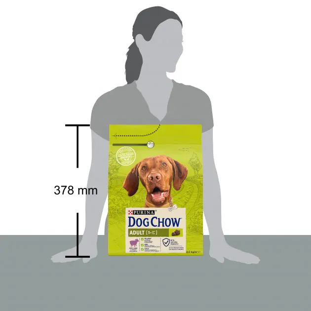 Сухий корм для собак Dog Chow Adult з ягням