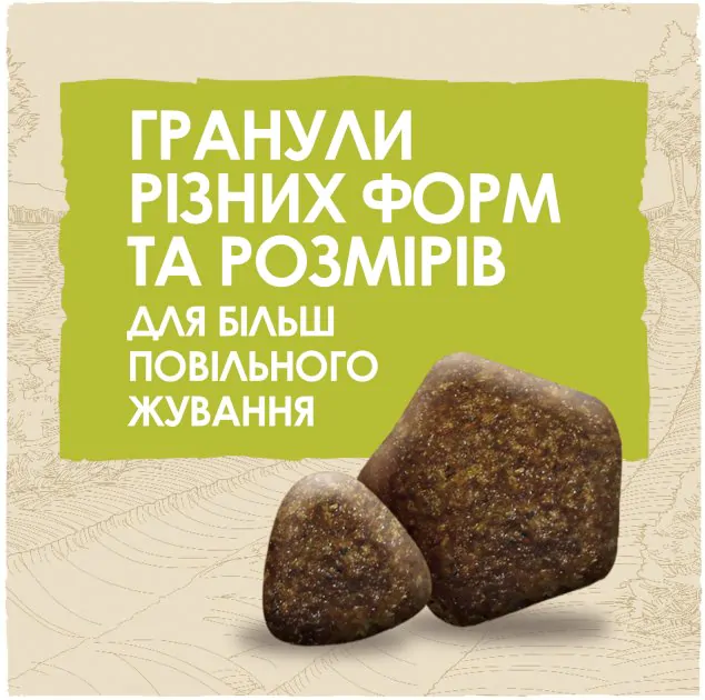 Сухий корм для собак Dog Chow Adult з ягням