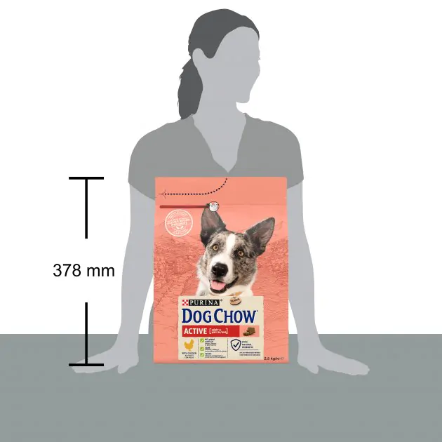 Сухий корм для собак Dog Chow Active з куркою