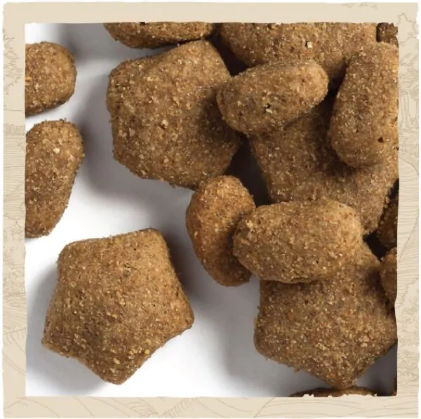 Сухий корм для собак Dog Chow Active з куркою
