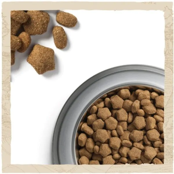 Сухий корм для собак Dog Chow Active з куркою