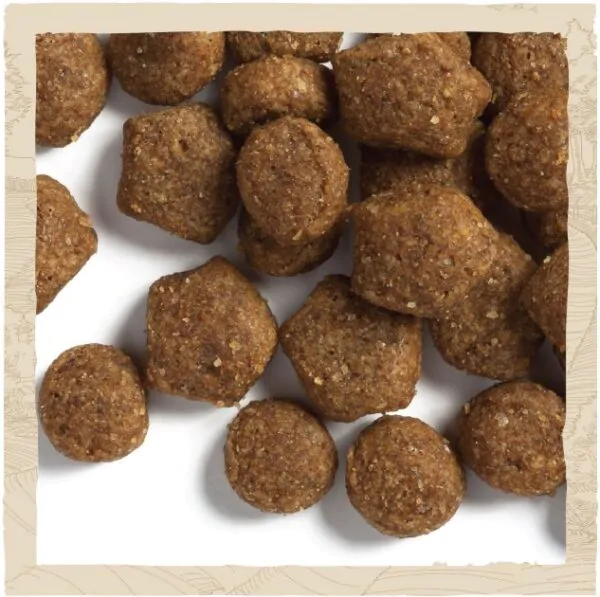 Сухий корм для цуценят Dog Chow Puppy з ягням