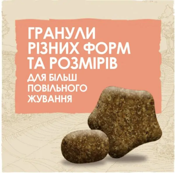 Сухий корм для собак з чутливим травленням Dog Chow Sensitive з лососем