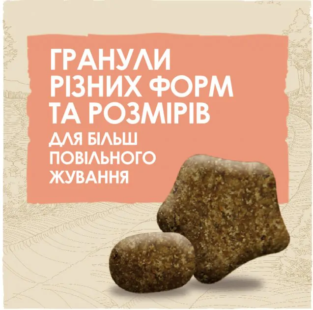 Сухий корм для собак з чутливим травленням Dog Chow Sensitive з лососем