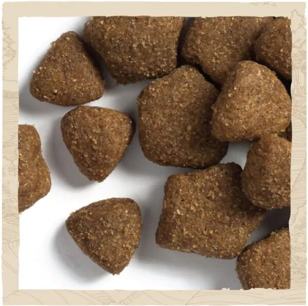 Сухий корм для собак великих порід Dog Chow Large Breed з індичкою