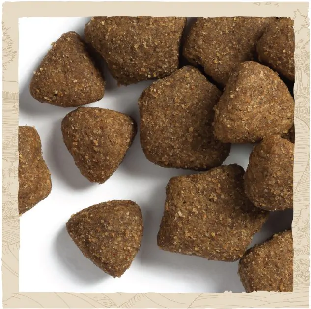 Сухий корм для собак великих порід Dog Chow Large Breed з індичкою