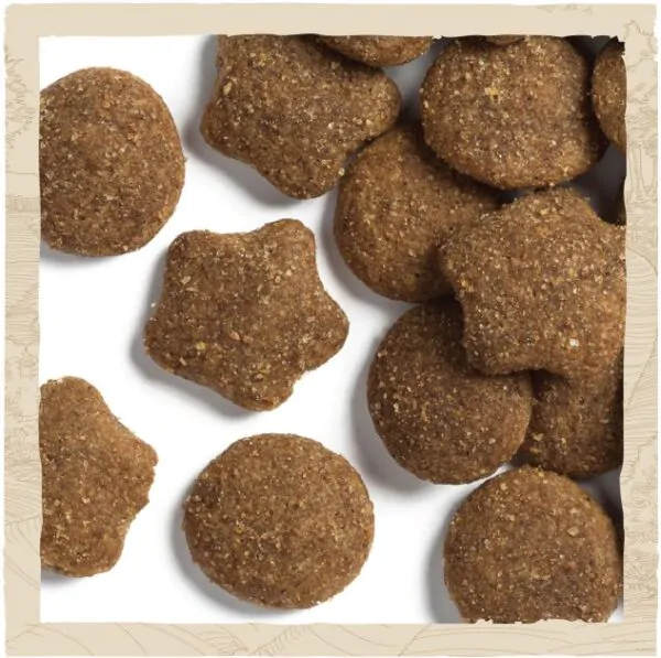 Сухий корм для цуценят великих порід Dog Chow Puppy Large Breed з індичкою 14 кг