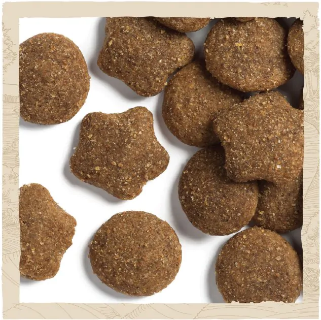 Сухий корм для цуценят великих порід Dog Chow Puppy Large Breed з індичкою 14 кг