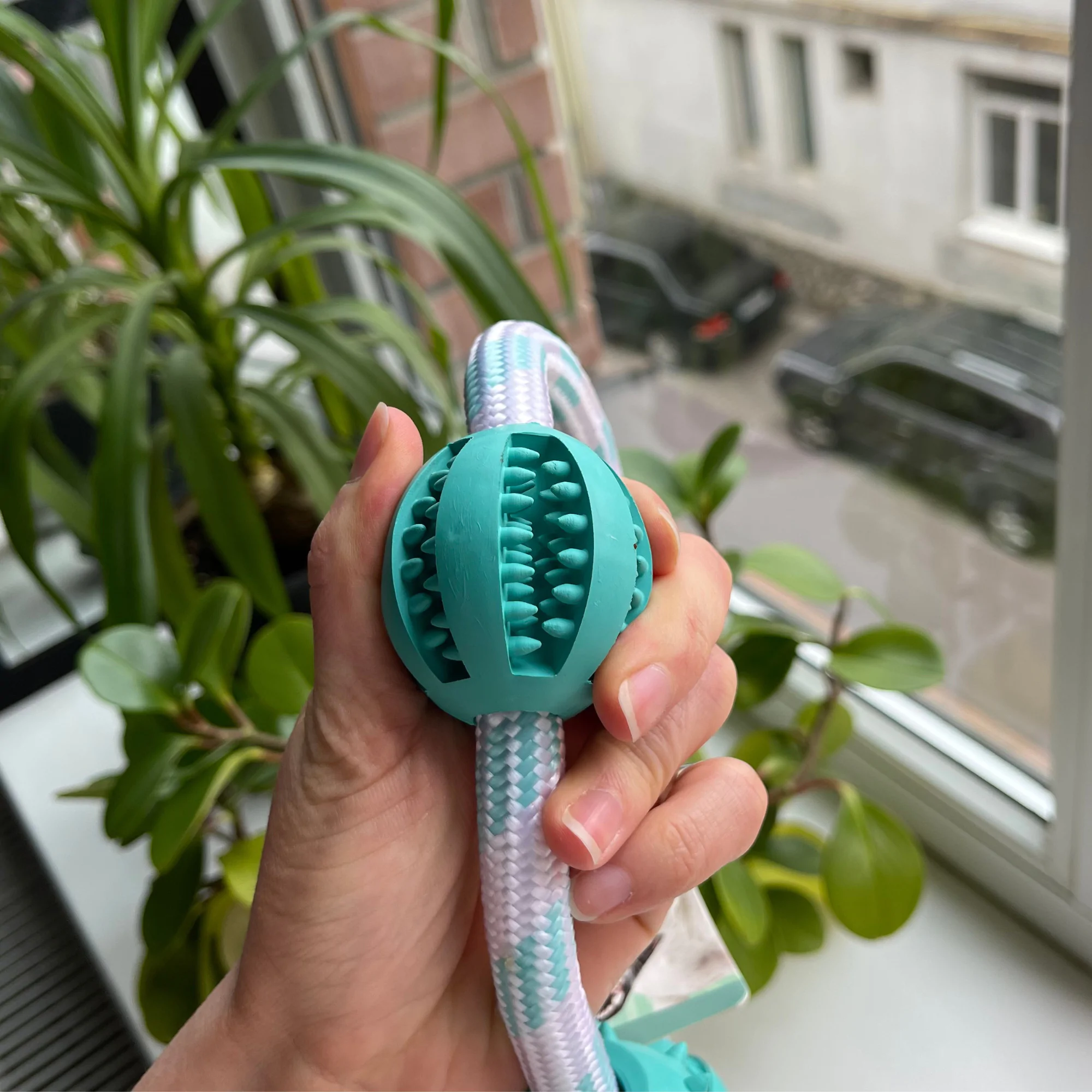 Іграшка для собак Trixie Denta Fun Мотузкове кільце з кульками 20см