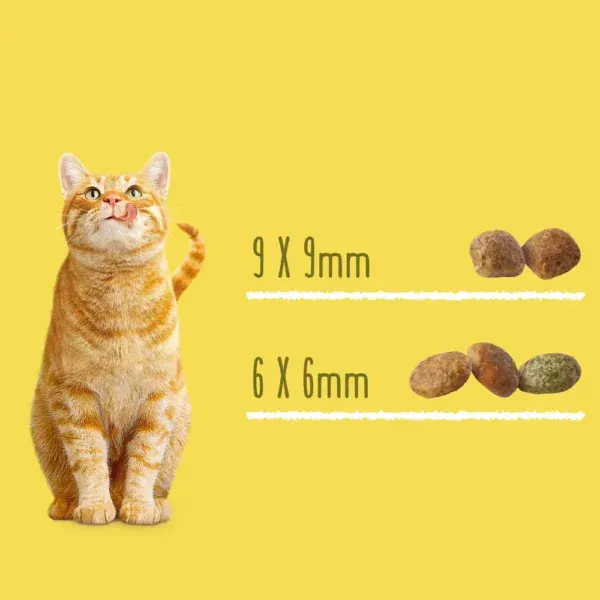 Сухий корм для стерилізованих котів Purina Friskies лосось та овочі