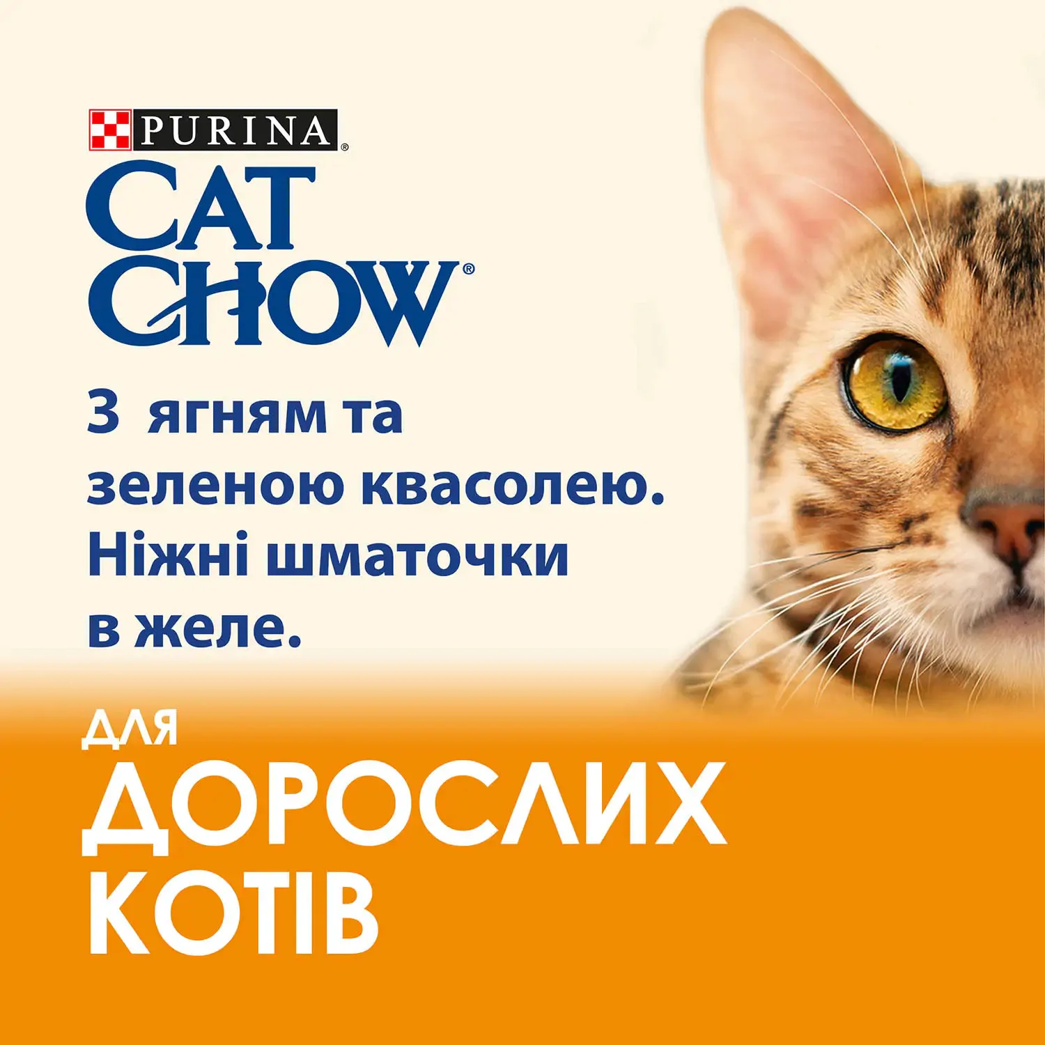Вологий корм для котів Cat Chow Adult 85 г (ягня та квасоля)