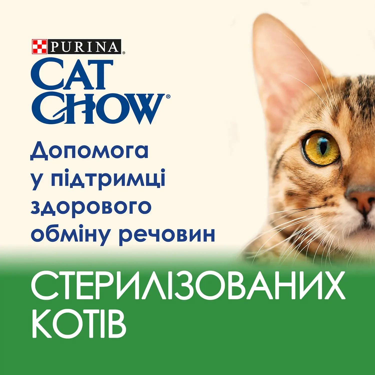 Вологий корм для стерилізованих котів Cat Chow Adult 85 г (ягня та квасоля)