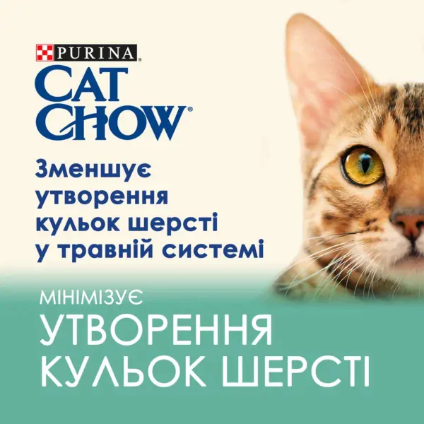 Вологий корм для котів для виведення шерсті Cat Chow Adult 85 г (курка і квасоля)