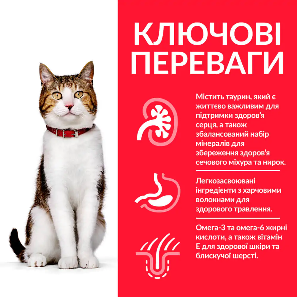 Сухий корм для зрілих котів 7+ років Hill's Science Plan Mature Adult 7+ з куркою
