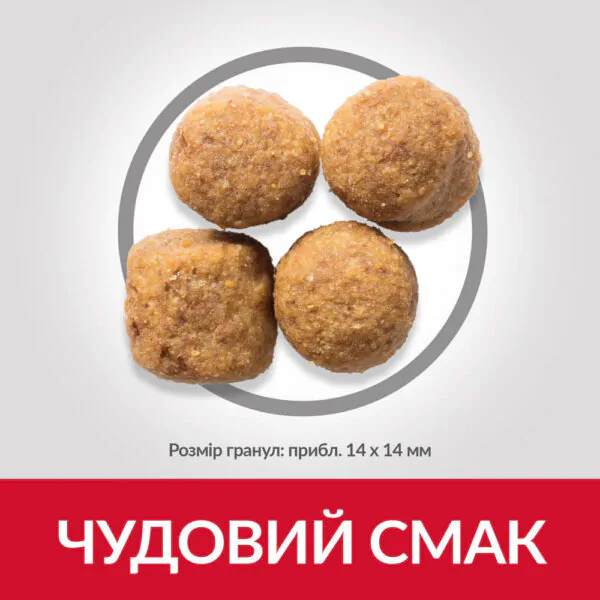 Сухий корм для собак великих порід Hill's Science Plan Adult Large Breed з ягням 14 кг