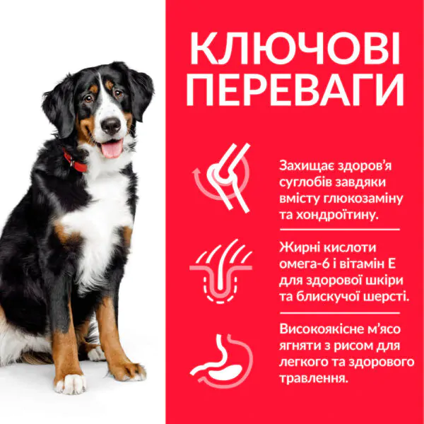 Сухий корм для собак великих порід Hill's Science Plan Adult Large Breed з ягням 14 кг