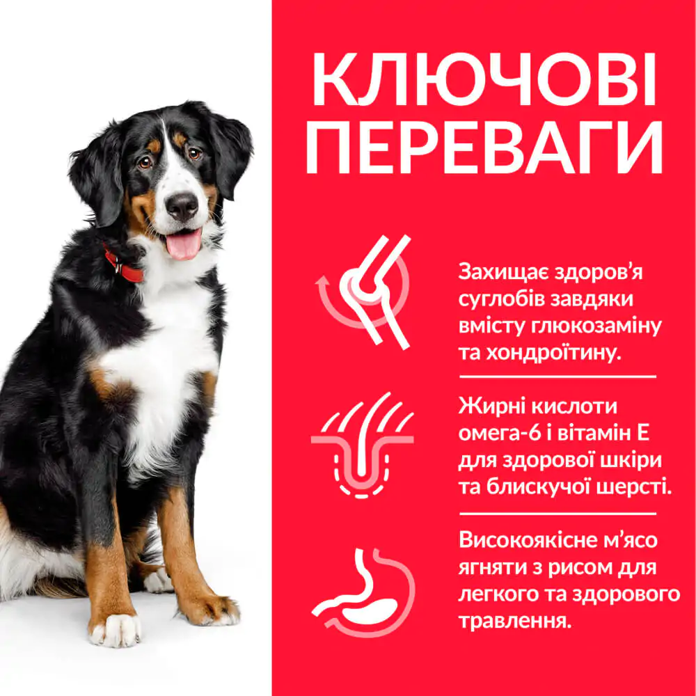 Сухий корм для собак великих порід Hill's Science Plan Adult Large Breed з ягням 14 кг