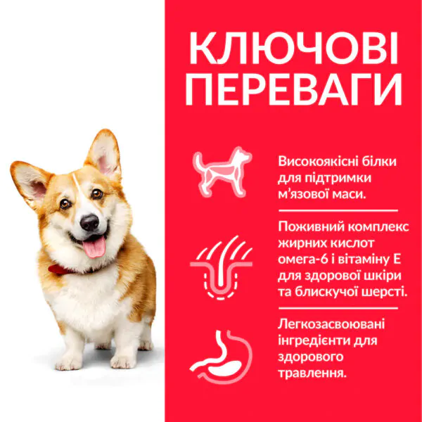Сухий корм для собак малих порід Hill's Science Plan Adult Small&Mini курка
