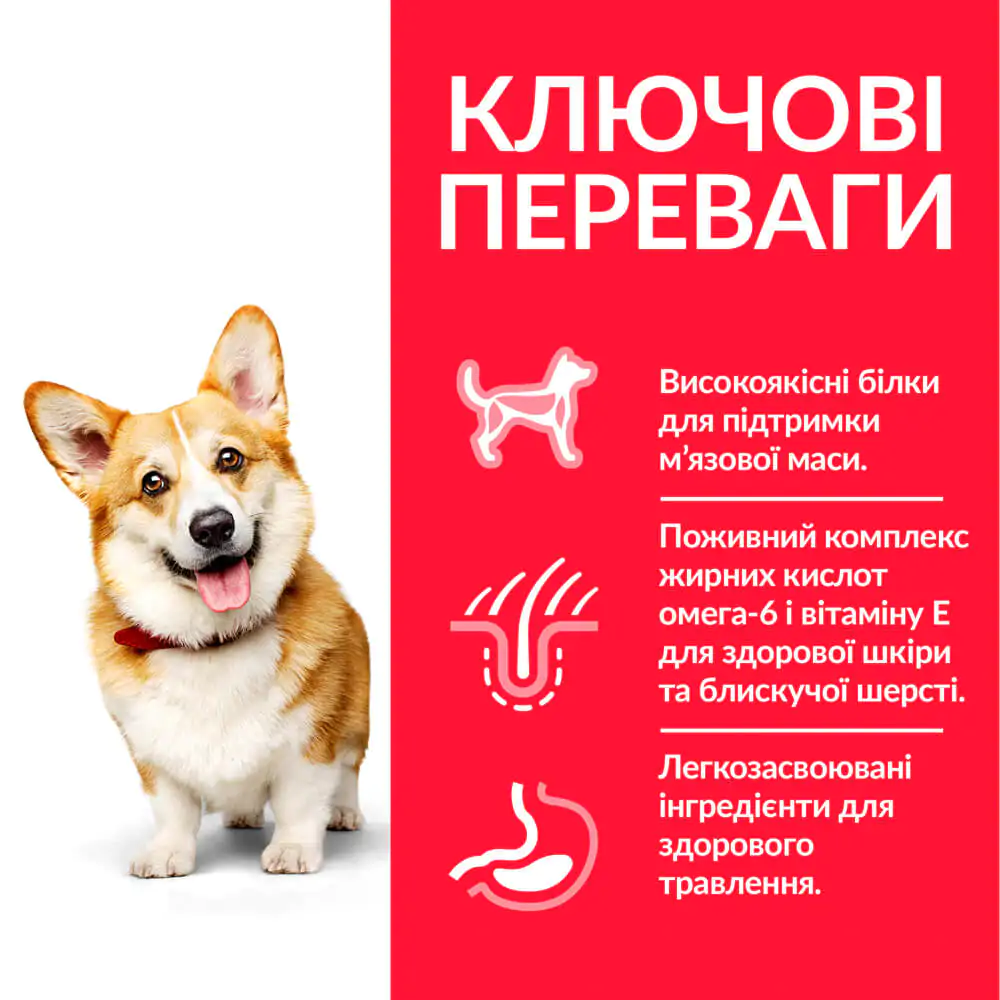 Сухий корм для собак малих порід Hill's Science Plan Adult Small&Mini курка