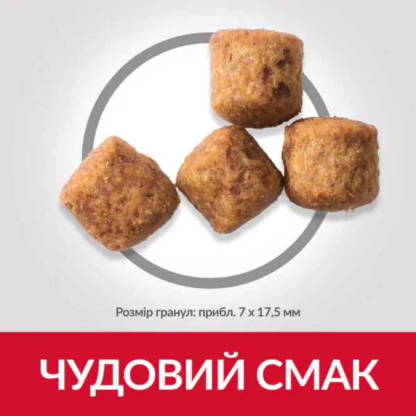 Сухий корм для собак великих порід Hill's Science Plan Mature Adult 6+ Large Breed 14 кг курка
