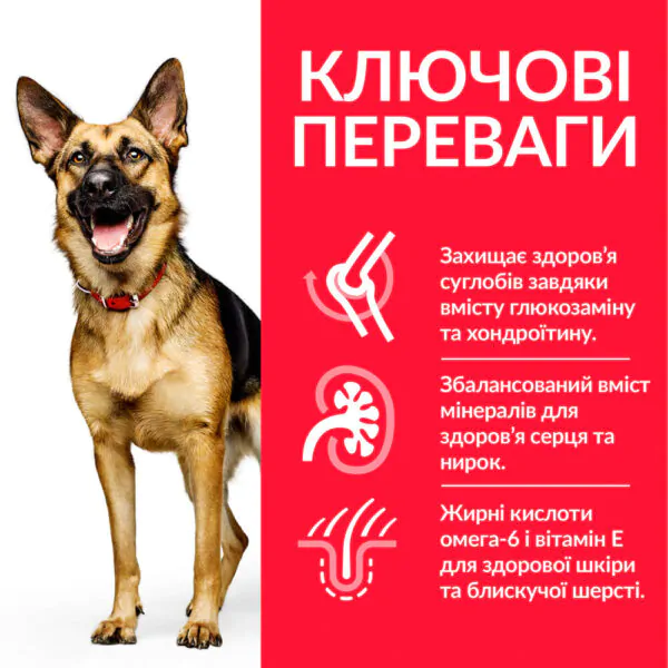 Сухий корм для собак великих порід Hill's Science Plan Mature Adult 6+ Large Breed 14 кг курка