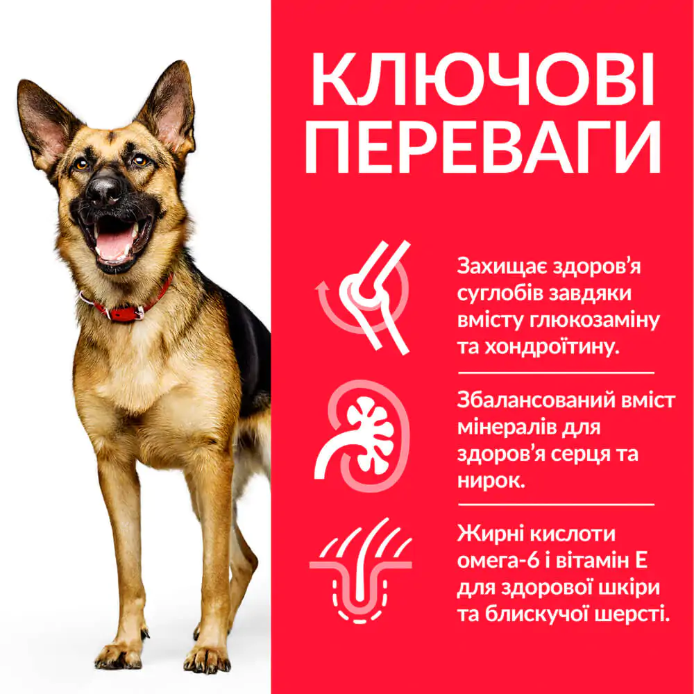 Сухий корм для собак великих порід Hill's Science Plan Mature Adult 6+ Large Breed 14 кг курка