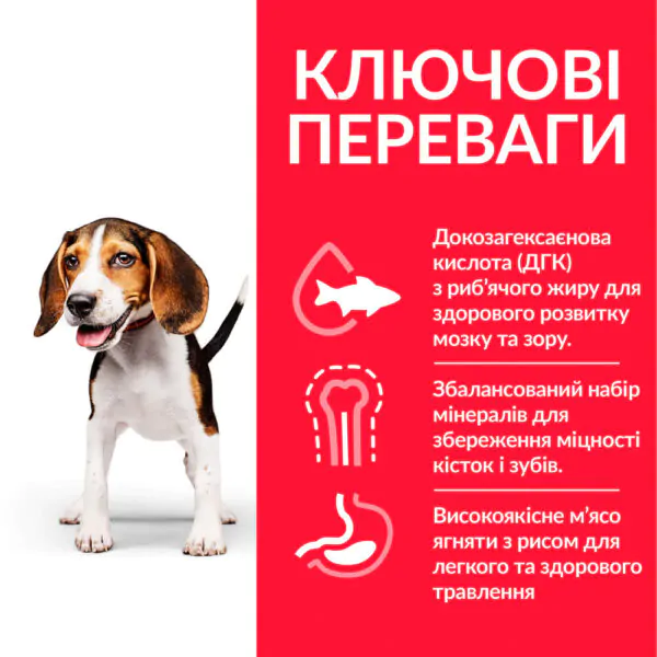 Сухий корм для цуценят середніх порід Hill's Science Plan Puppy Medium Breed ягня
