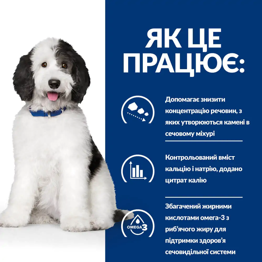 Сухий корм для собак для запобігання утворення струвітів Hill's Prescription Diet c/d