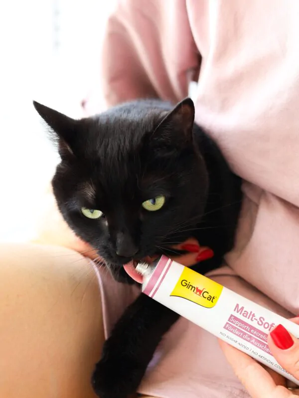 Паста для котів виведення шерсті зі шлунку GimCat Every Day Malt-Soft Paste Extra 200 г